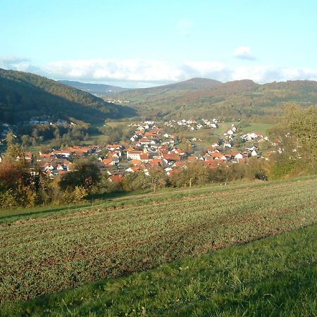 Ferienwohnung Hergenroeder Riedenberg  Εξωτερικό φωτογραφία